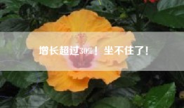 增长超过30%！坐不住了！