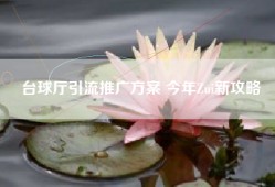 台球厅引流推广方案 今年Zui新攻略