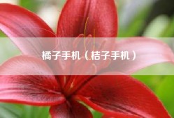 橘子手机（桔子手机）