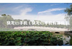 骁龙821手机（骁龙821手机有哪些）