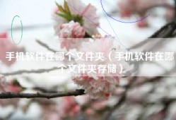 手机软件在哪个文件夹（手机软件在哪个文件夹存储）