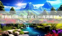 手机排行榜2014前十名（2014年高端手机）