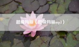 超级玛丽（超级玛丽mp3）