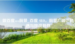 做百度seo前景_百度 SEO，前景广阔，机遇与挑战并存