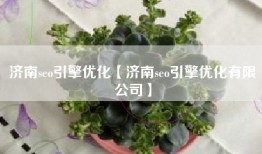济南seo引擎优化【济南seo引擎优化有限公司】