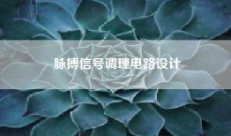 脉搏信号调理电路设计