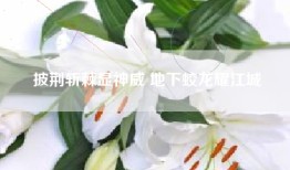 披荆斩棘显神威 地下蛟龙耀江城