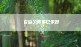 百度的弟弟巴依都