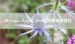 DB-Engines Ranking 2024年6月数据库排行