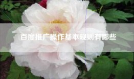 百度推广操作基本规则有哪些