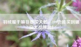 羽绒服干嘛非要买大鹅，199也能买到碾压大品牌的！