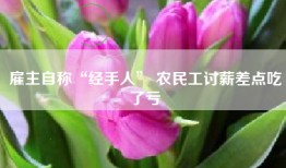 雇主自称“经手人” 农民工讨薪差点吃了亏