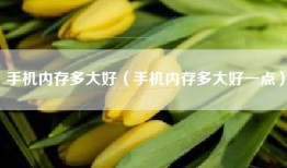 手机内存多大好（手机内存多大好一点）