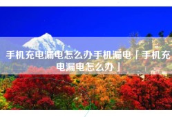 手机充电漏电怎么办手机漏电「手机充电漏电怎么办」