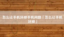 怎么让手机坏掉手机问题「怎么让手机坏掉」