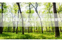 手机讨论组（手机怎么修改讨论组里的名字）