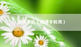 潮牌手机（潮牌手机壳）