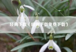 经典下载（经典下载免费下载）