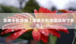 苹果手机市值（苹果手机市值蒸发了多少）