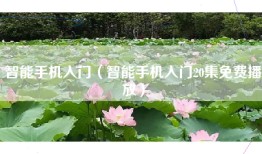 智能手机入门（智能手机入门20集免费播放）