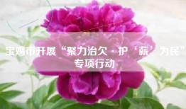 宝鸡市开展“聚力治欠·护‘薪’为民”专项行动