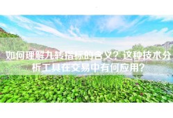 如何理解九转指标的含义？这种技术分析工具在交易中有何应用？
