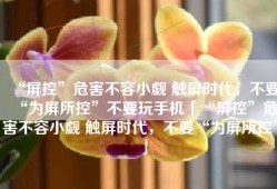 “屏控”危害不容小觑 触屏时代，不要“为屏所控”不要玩手机「“屏控”危害不容小觑 触屏时代，不要“为屏所控”」