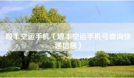 顺丰空运手机（顺丰空运手机号查询快递信息）