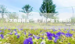 十大券商佣金一览，开户哪个券商好