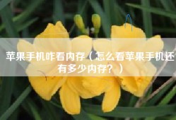 苹果手机咋看内存（怎么看苹果手机还有多少内存？）
