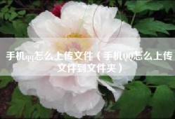 手机qq怎么上传文件（手机QQ怎么上传文件到文件夹）