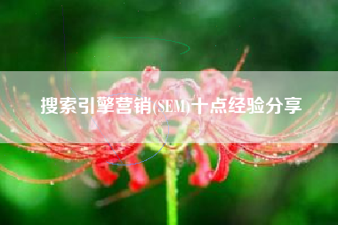 搜索引擎营销(SEM)十点经验分享