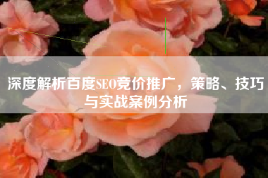 深度解析百度SEO竞价推广，策略、技巧与实战案例分析