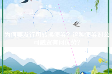 为何要发行可转换债券？这种债券对公司融资有何优势？