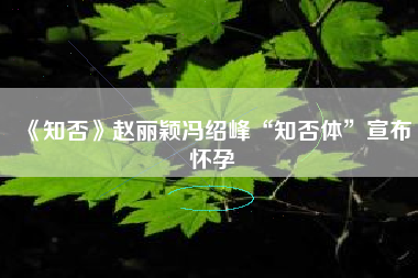 《知否》赵丽颖冯绍峰“知否体”宣布怀孕