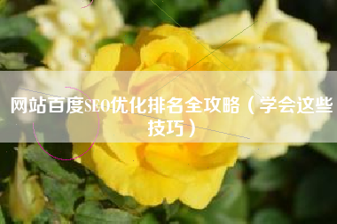 网站百度SEO优化排名全攻略（学会这些技巧）