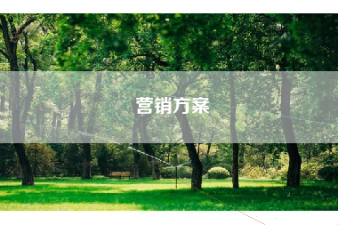 营销方案