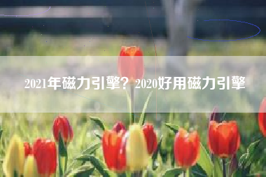 2021年磁力引擎？2020好用磁力引擎