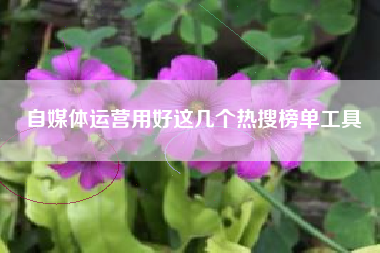 自媒体运营用好这几个热搜榜单工具