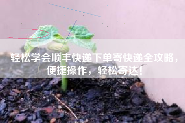 轻松学会顺丰快递下单寄快递全攻略，便捷操作，轻松寄达！