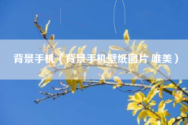 背景手机（背景手机壁纸图片 唯美）