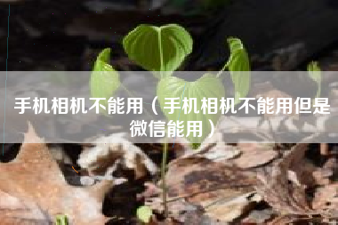 手机相机不能用（手机相机不能用但是微信能用）