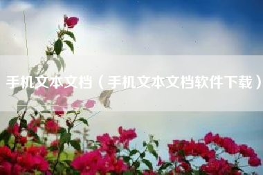 手机文本文档（手机文本文档软件下载）