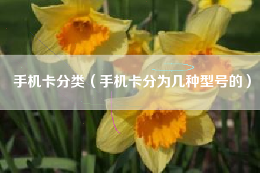 手机卡分类（手机卡分为几种型号的）