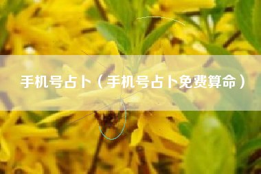 手机号占卜（手机号占卜免费算命）