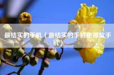 最结实的手机（最结实的手机是哪款手机）