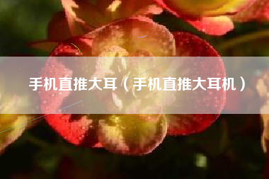 手机直推大耳（手机直推大耳机）