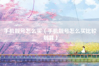 手机靓号怎么买（手机靓号怎么买比较划算）