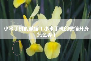 小米手机的微信（小米手机的微信分身怎么弄）
