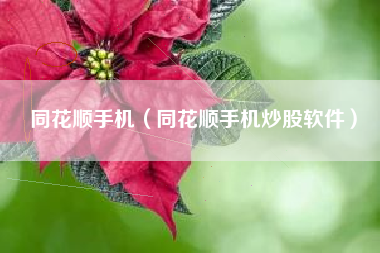 同花顺手机（同花顺手机炒股软件）